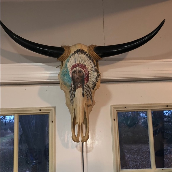 Other - Texas Long Horn